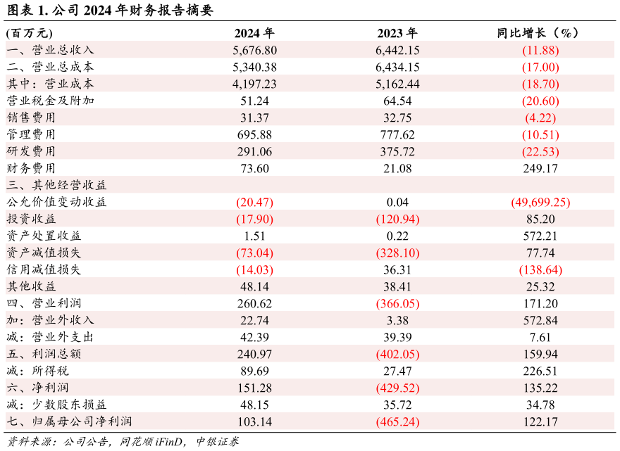 如何解释. 公司 2024 年财务报告摘要?