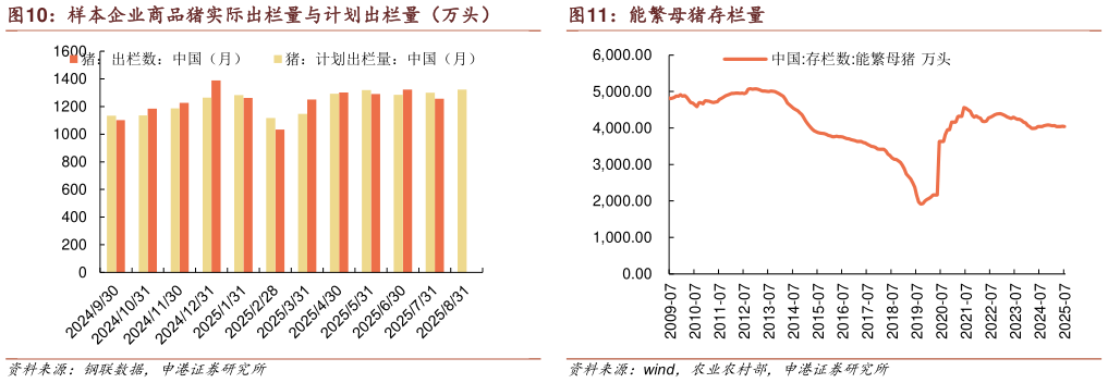 怎样理解能繁母猪存栏量?