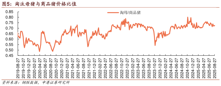你知道淘汰母猪与商品猪价格比值?