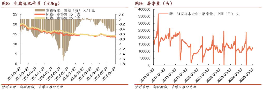如何看待生猪标肥价差(元kg) 不同体重出栏数占比(%) 屠宰量(头)?