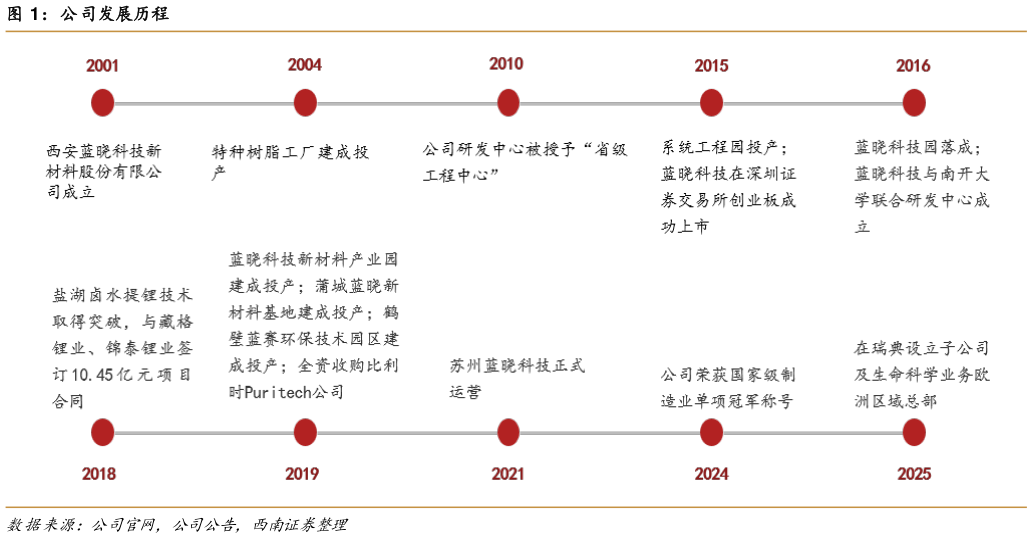 如何解释公司发展历程