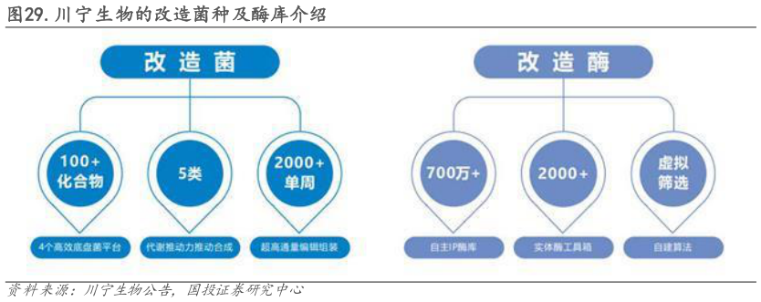 请问一下.川宁生物的改造菌种及酶库介绍?