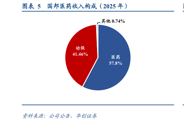 咨询大家国邦医药收入构成（2025 年）