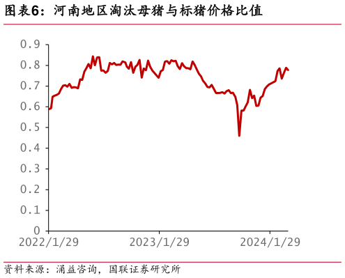 如何看待河南地区淘汰母猪与标猪价格比值?