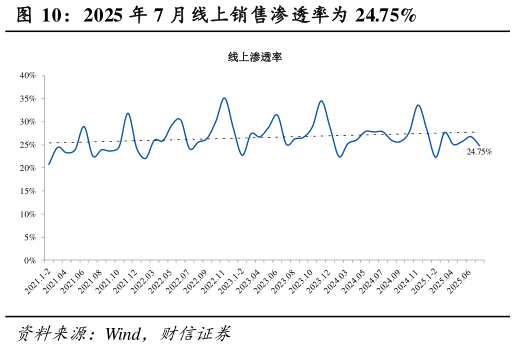 如何了解2025 年 7 月线上销售渗透率为 24.75%
