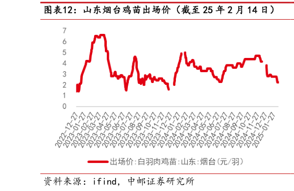 各位网友请教一下山东烟台鸡苗出场价（截至 25 年 2 月 14 日）  山东烟台毛鸡收购价（截至 25 年 2 月 14 日）?