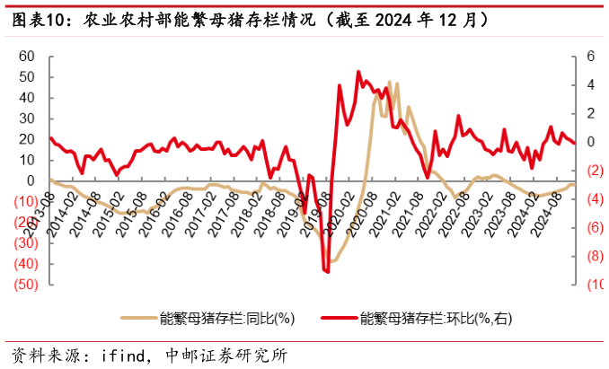 如何了解农业农村部能繁母猪存栏情况（截至 2024 年 12 月）?