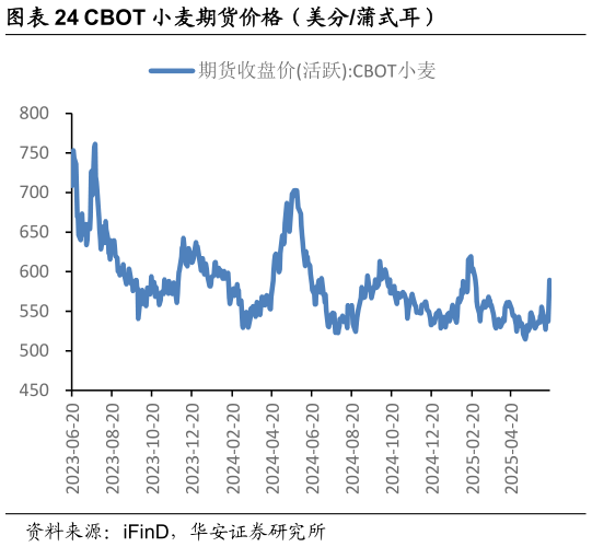 谁能回答CBOT 小麦期货价格（美分蒲式耳）?