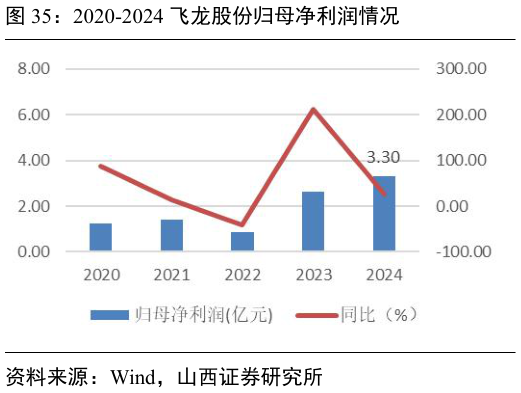 一起讨论下2020-2024 飞龙股份归母净利润情况