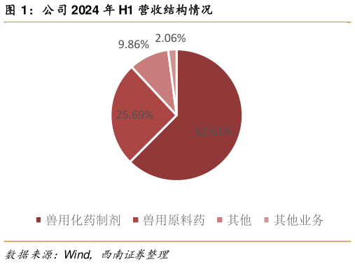 咨询大家公司 2024 年 H1 营收结构情况?