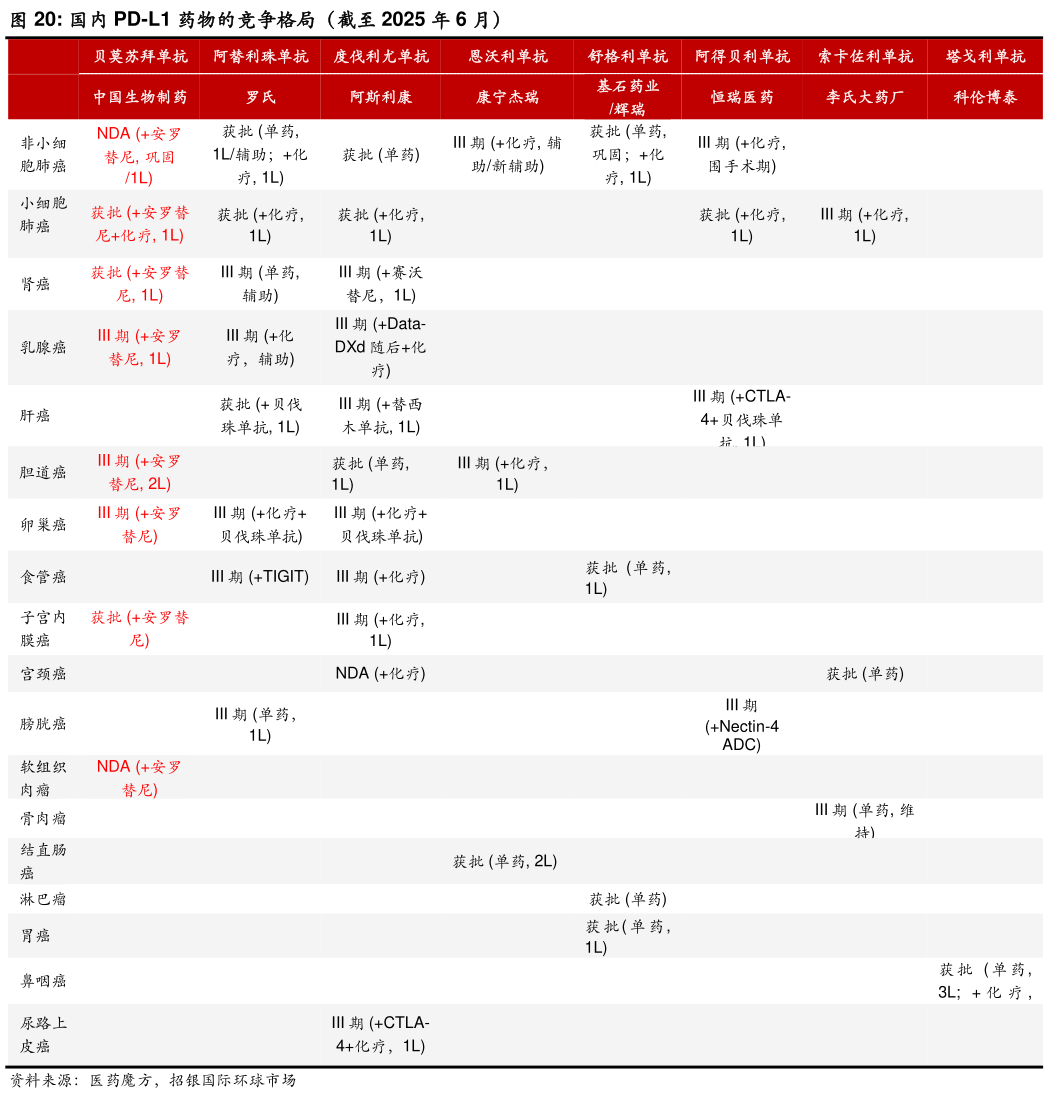 想关注一下国内 PD-L1 药物的竞争格局（截至 2025 年 6 月）