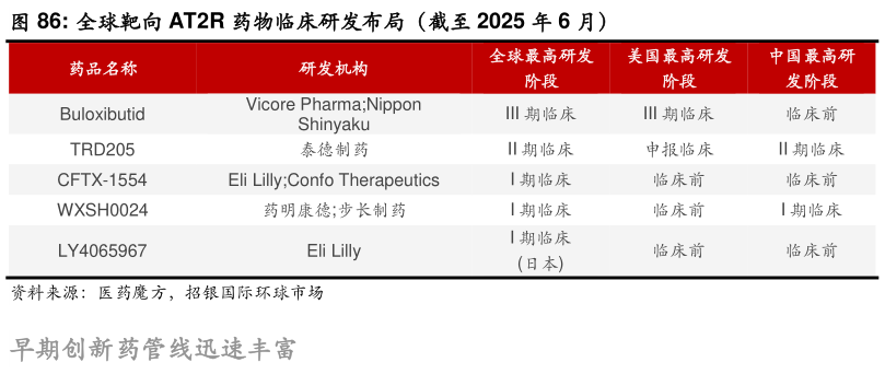 想问下各位网友全球靶向 AT2R 药物临床研发布局（截至 2025 年 6 月）