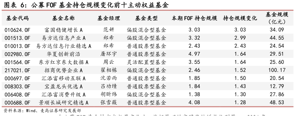 谁能回答公募 FOF 基金持仓规模变化前十主动权益基金