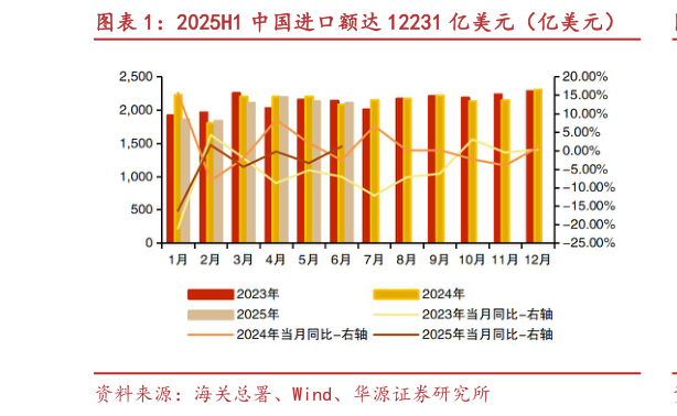如何了解2025H1 中国进口额达 12231 亿美元（亿美元）