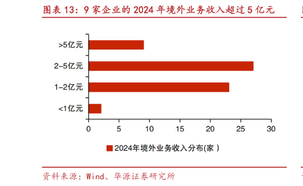 各位网友请教一下9 家企业的 2024 年境外业务收入超过 5 亿元