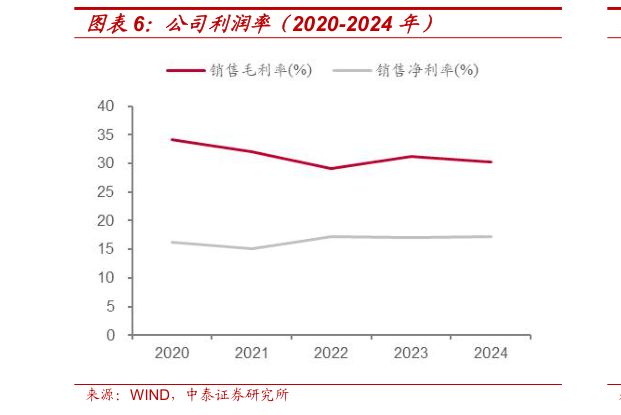 如何解释公司利润率（2020-2024 年）?