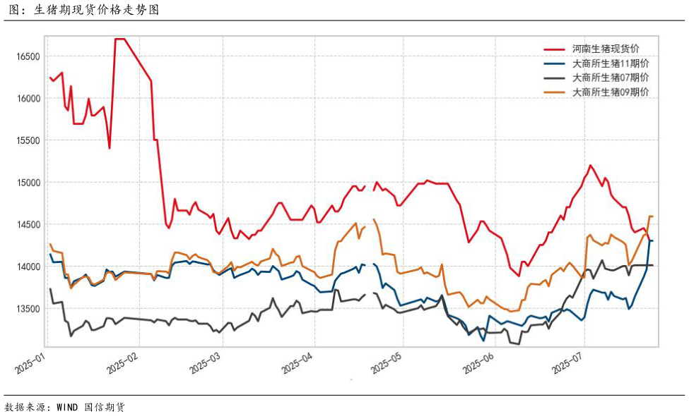 如何了解图：生猪期现货价格走势图?