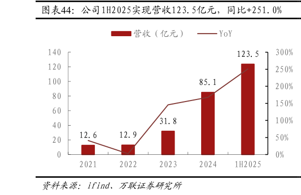 怎样理解公司1H2025实现营收123.5亿元，同比251.0%  公司2021-2024年归母净利润CAGR达174.5%