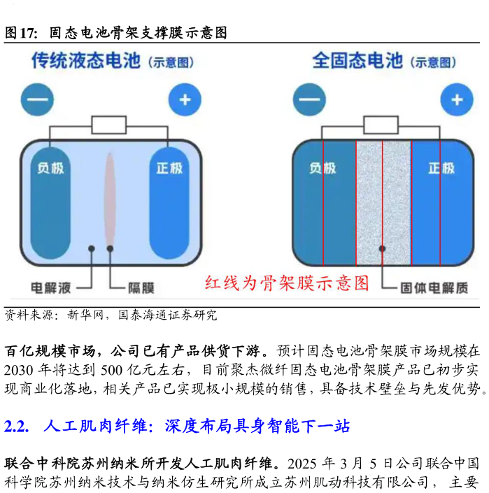 谁知道固态电池骨架支撑膜示意图