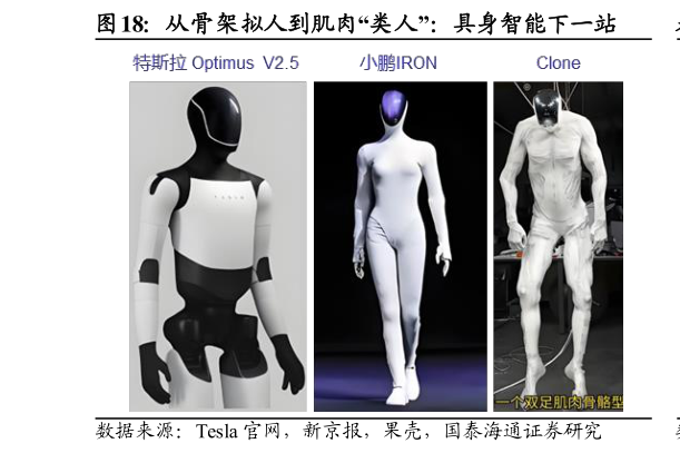 谁知道从骨架拟人到肌肉“类人”：具身智能下一站