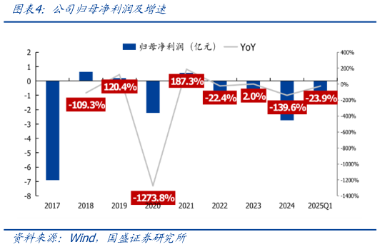 如何看待公司归母净利润及增速