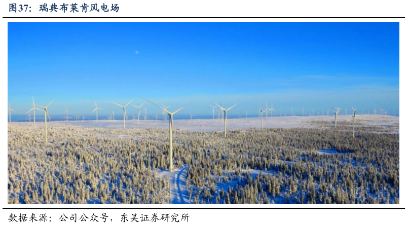 我想了解一下瑞典布莱肯风电场