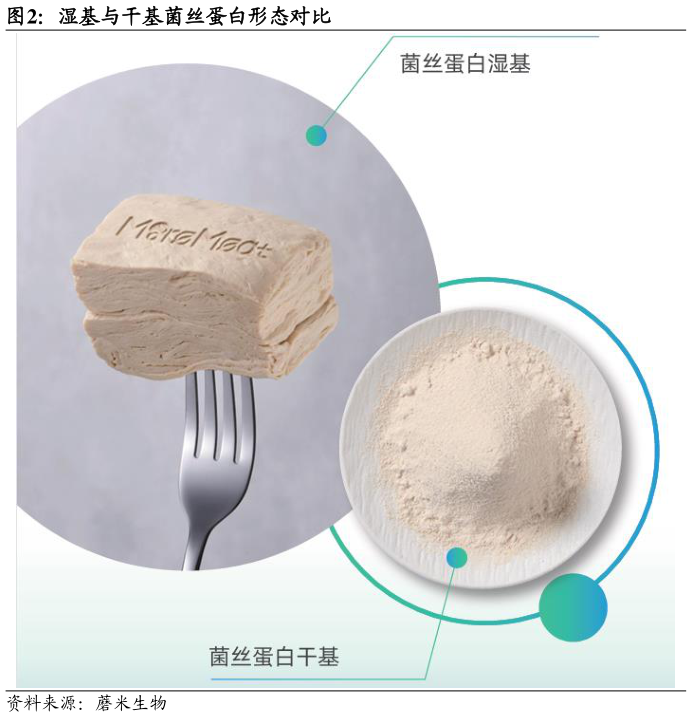 如何才能湿基与干基菌丝蛋白形态对比