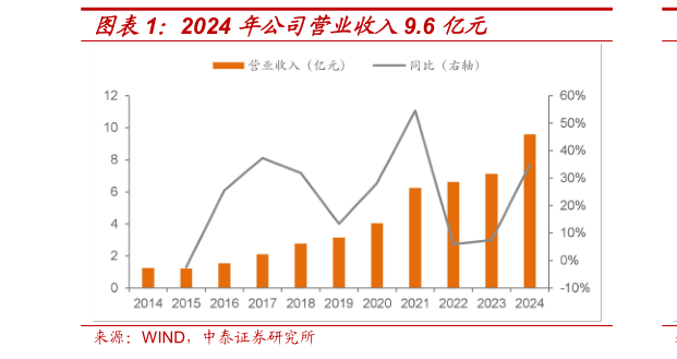 如何才能2024 年公司营业收入9.6 亿元