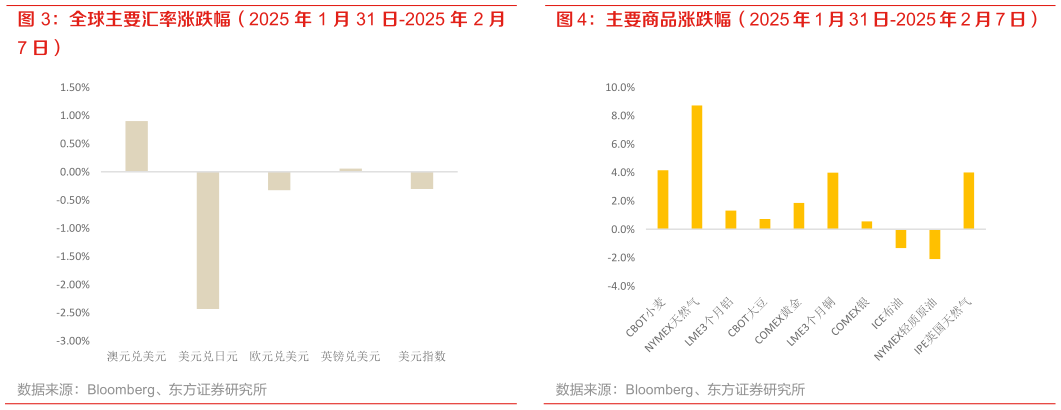 如何看待全球主要汇率涨跌幅（2025 年 1 月 31 日-2025 年 2 月 主要商品涨跌幅（2025 年 1 月 31 日-2025 年 2 月 7 日）?