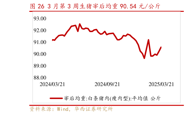 想问下各位网友3 月第 3 周生猪宰后均重 90.54 元公斤?