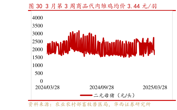 咨询下各位3 月第 3 周商品代肉雏鸡均价 3.44 元羽?