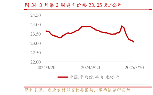 谁能回答3 月第 3 周鸡肉价格 23.05 元公斤?