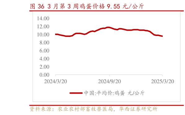 怎样理解3 月第 3 周鸡蛋价格 9.55 元公斤?