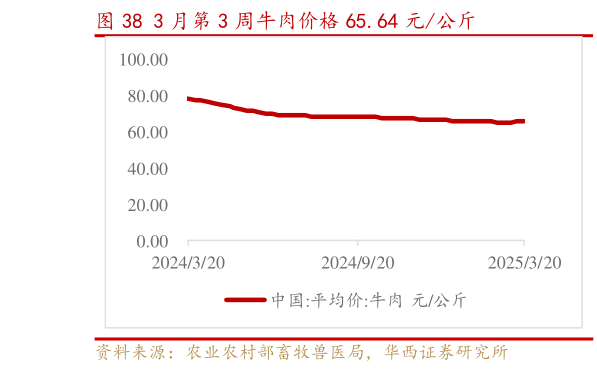 如何解释3 月第 3 周牛肉价格 65.64 元公斤?