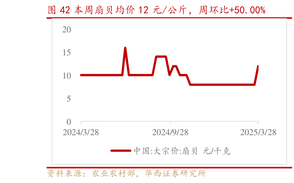 如何才能本周扇贝均价 12 元公斤,周环比50.00%?