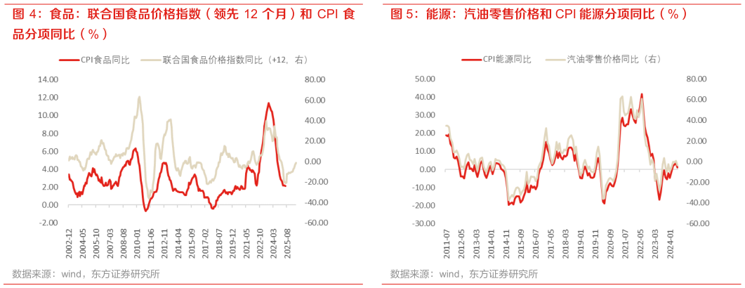 谁知道能源：汽油零售价格和 CPI 能源分项同比（%）