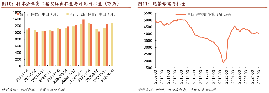 咨询下各位能繁母猪存栏量?