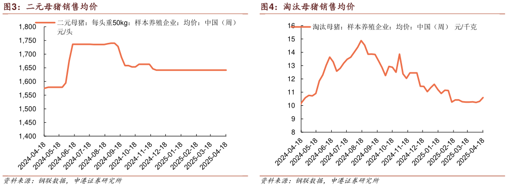 如何了解淘汰母猪销售均价?