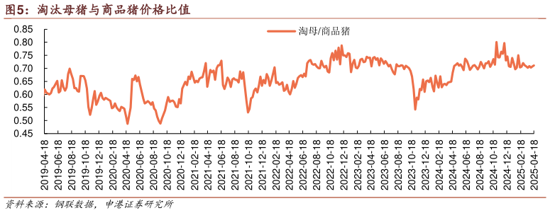 咨询大家淘汰母猪与商品猪价格比值?