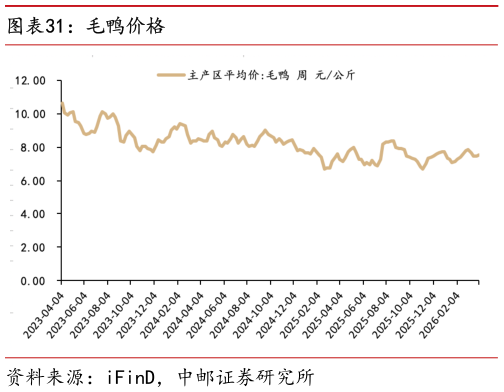 谁知道毛鸭价格