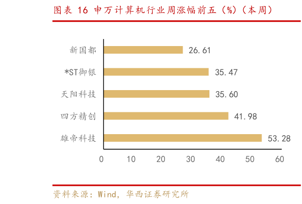 如何解释申万计算机行业周涨幅前五(%)(本周)?