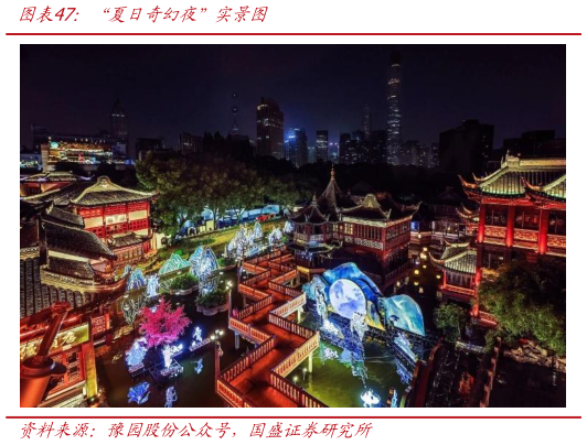 各位网友请教一下“夏日奇幻夜”实景图?