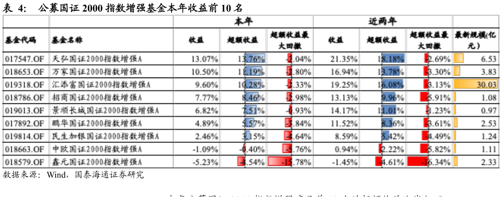 谁能回答公募国证 2000 指数增强基金本年收益前 10 名?