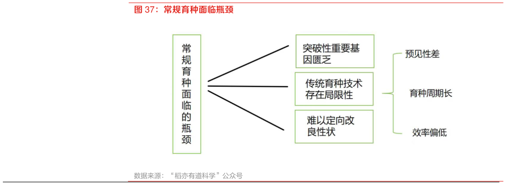 如何看待常规育种面临瓶颈?