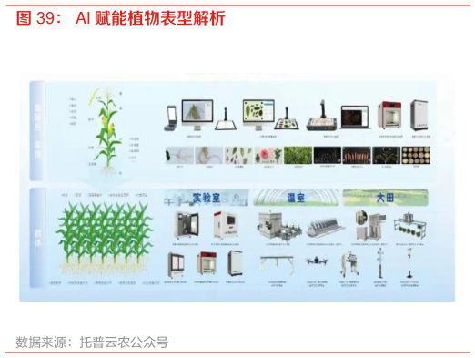 我想了解一下AI 赋能植物表型解析?
