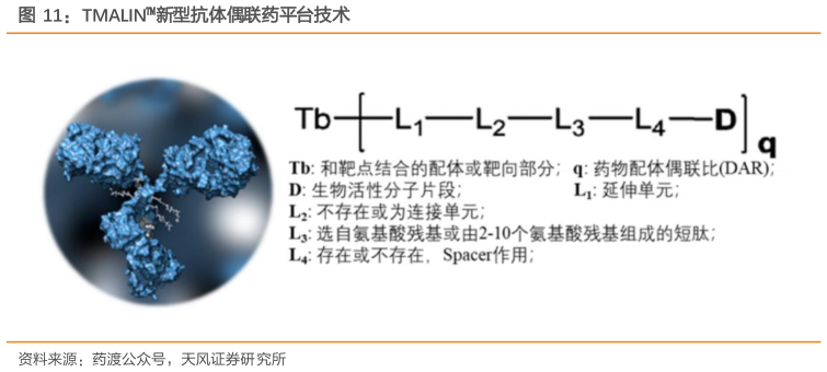 请问一下TMALIN新型抗体偶联药平台技术