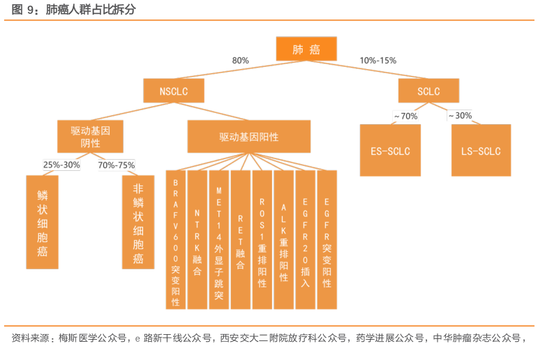 想问下各位网友肺癌人群占比拆分