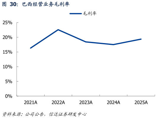 如何解释巴西经营业务毛利率?