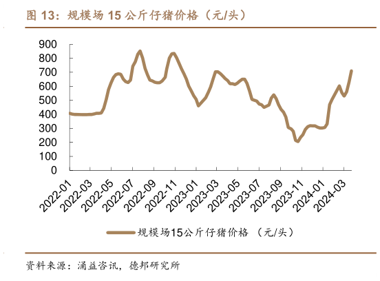 你知道规模场 15 公斤仔猪价格(元头)?