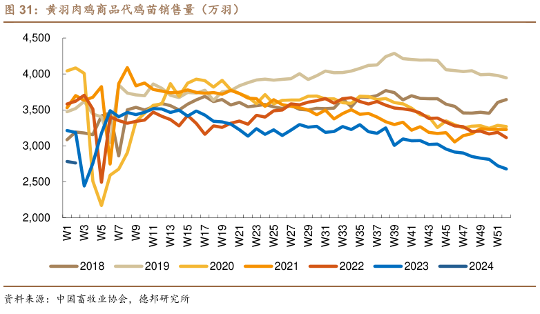 如何看待黄羽肉鸡商品代鸡苗销售量(万羽)?